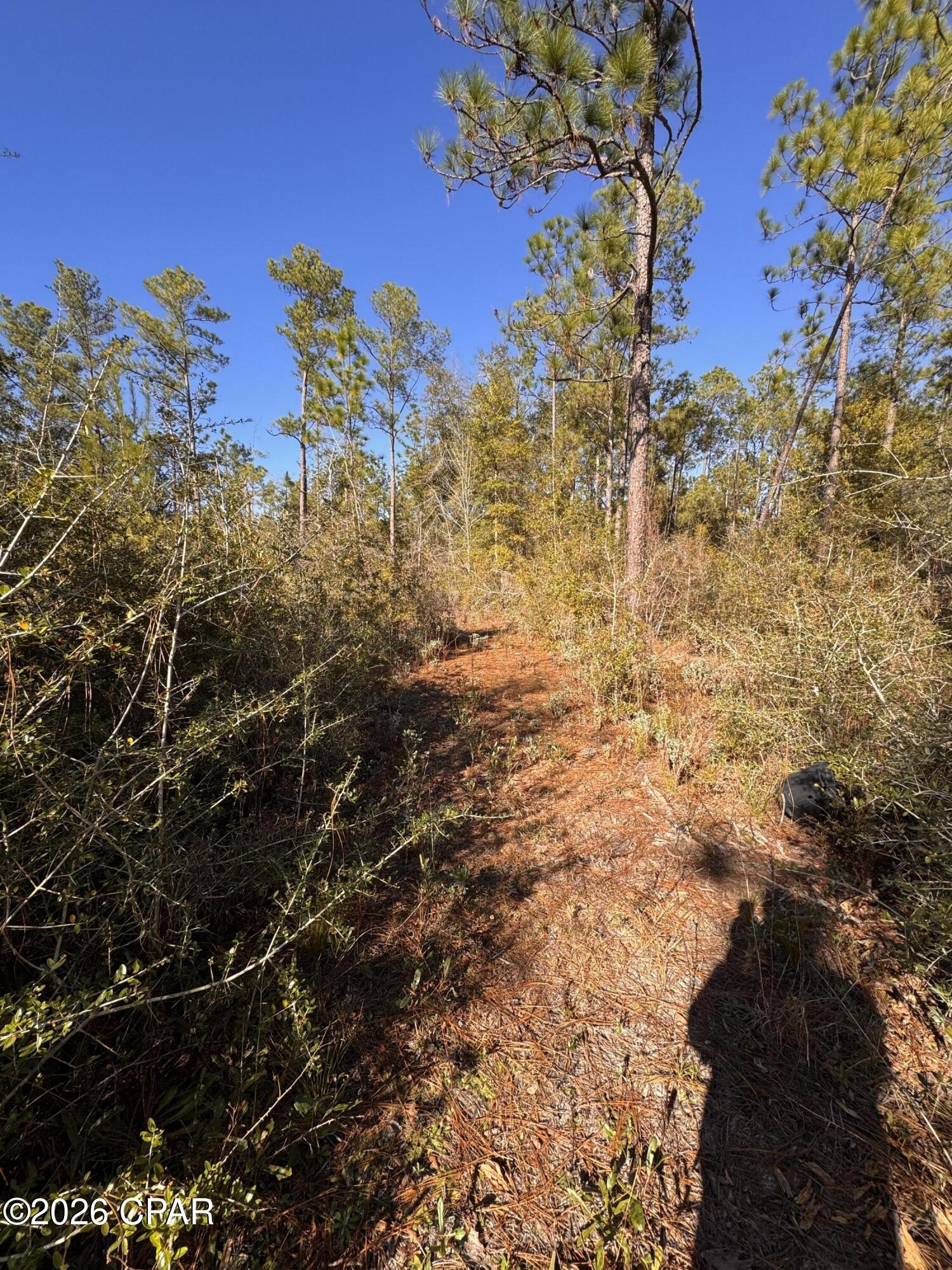 Cypress Point - Residential