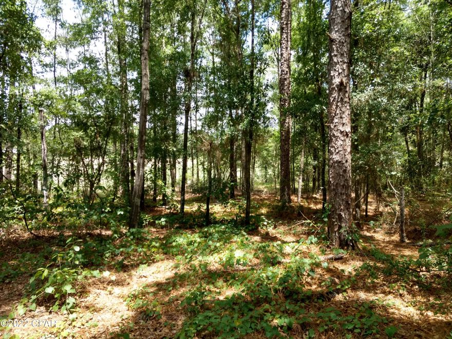 Great building lot with frontage on HWY 2. Lot is wooded with some large trees for shade. With a little clearing would make a nice homesite.