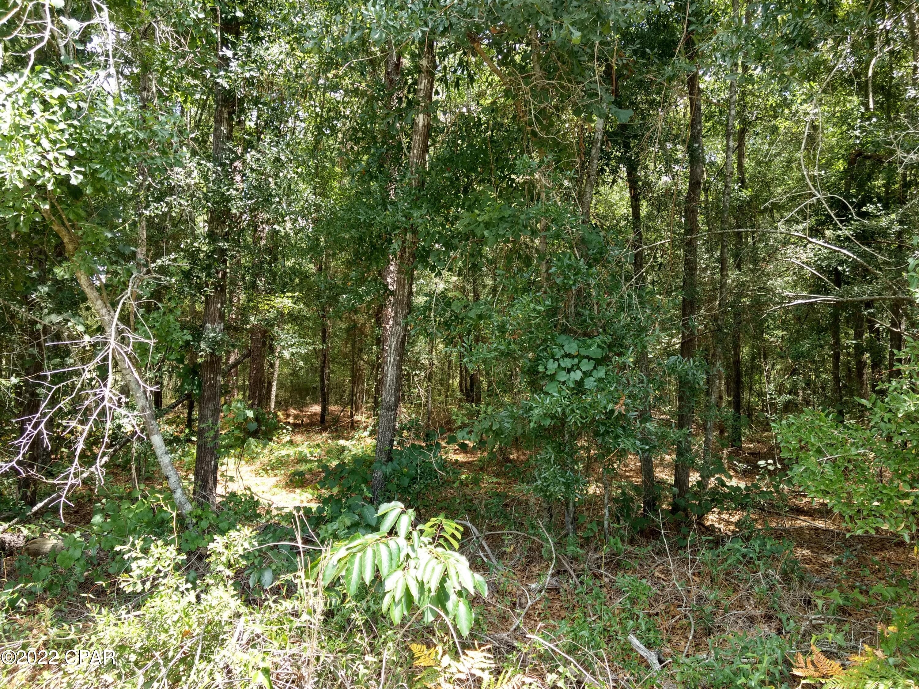 [No Recorded Subdiv] - Land