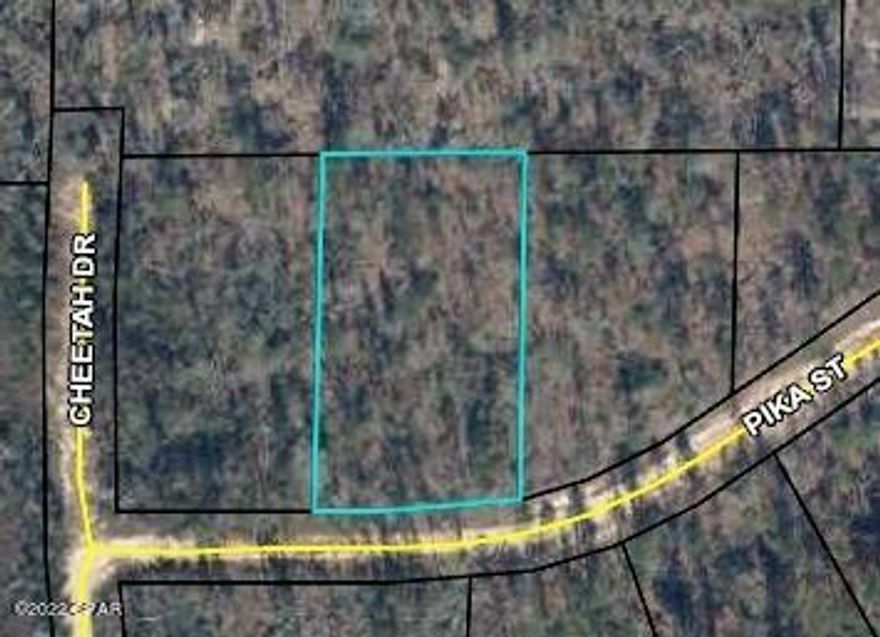 A large wooded lot at Compass Lake on the Hills. Did you know that owning property in Compass Lake provides you access to several amenities like a pool, driving range, kayaking, private boat ramp, paddle boarding, fishing, swimming, horseback riding and much more? There are several lakes/ponds in this community with great fishing and swimming. With just a little bit of land clearing, this property can be a dream homestead site. 

This owner has 17 other properties for sale in Compass Lakes. Make an offer on the other properties and get them as a package deal!