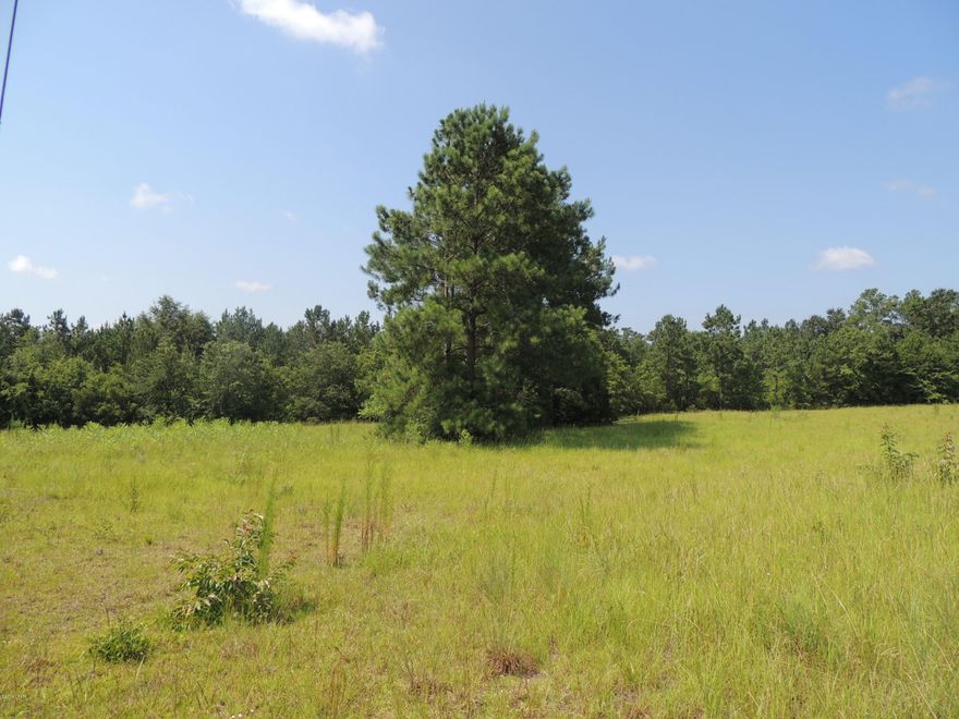 Size is approximate - High elevation on almost all of this 9+ acres, some of land is cleared, some trees toward the back. Paved County Rd, great for your horses, cattle or farming.   No utilities on the land but available in the area.