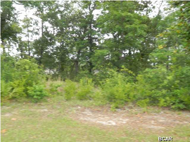 The Meadows & The Pointe - Land