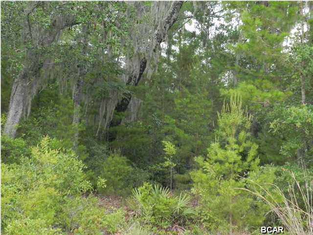 The Meadows & The Pointe - Land