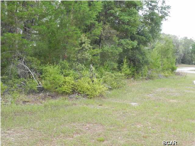 The Meadows & The Pointe - Land