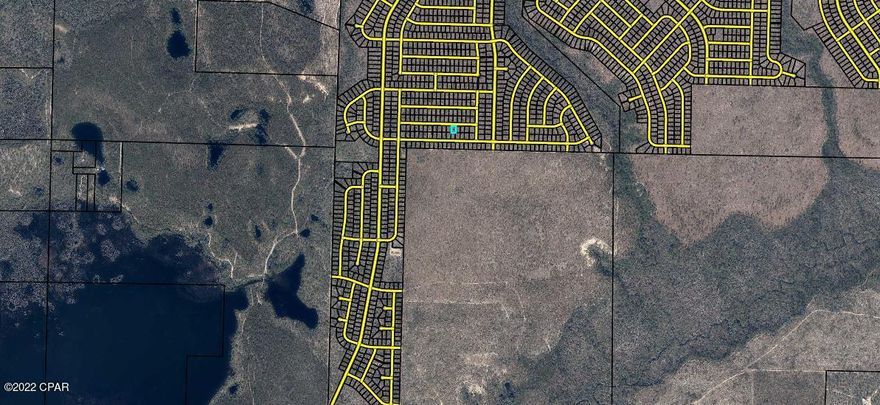 This property is located in the up-and-coming subdivision of Sunny Hills. This subdivision has its own golf course, swim park and recreational park (see photos). It is less than an hour from Panama City Beach and it is nearby numerous other lakes. Enjoy the country feel while not being far from the city. This particular lot is less than a mile from Porter Lake. The lot beside this one is available by the same seller. It is the same size and price. Taxes include $31.91 MSBU annual assessment.