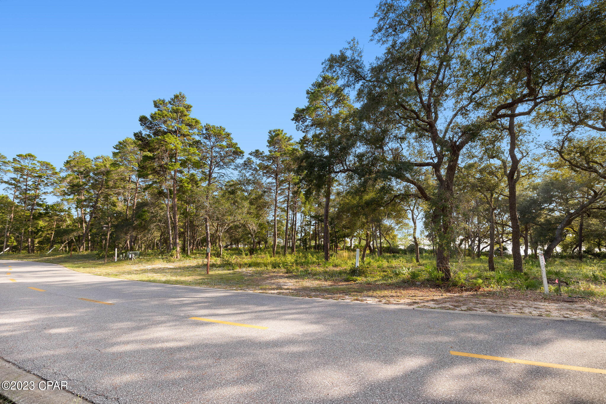 Wild Heron Phase XIII - Land