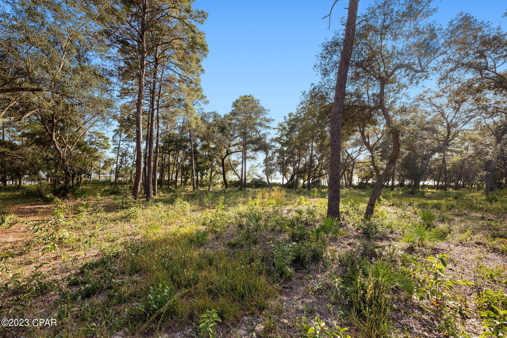 Wild Heron Phase XIII - Land