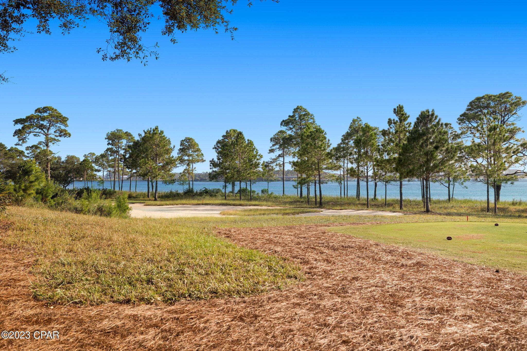 Wild Heron Phase XIII - Land