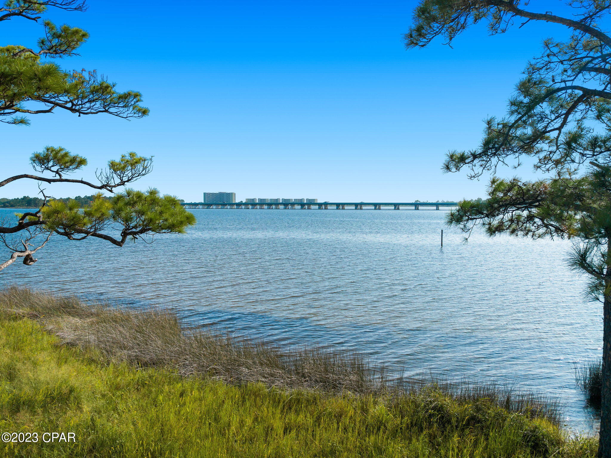 Wild Heron Phase XIII - Land