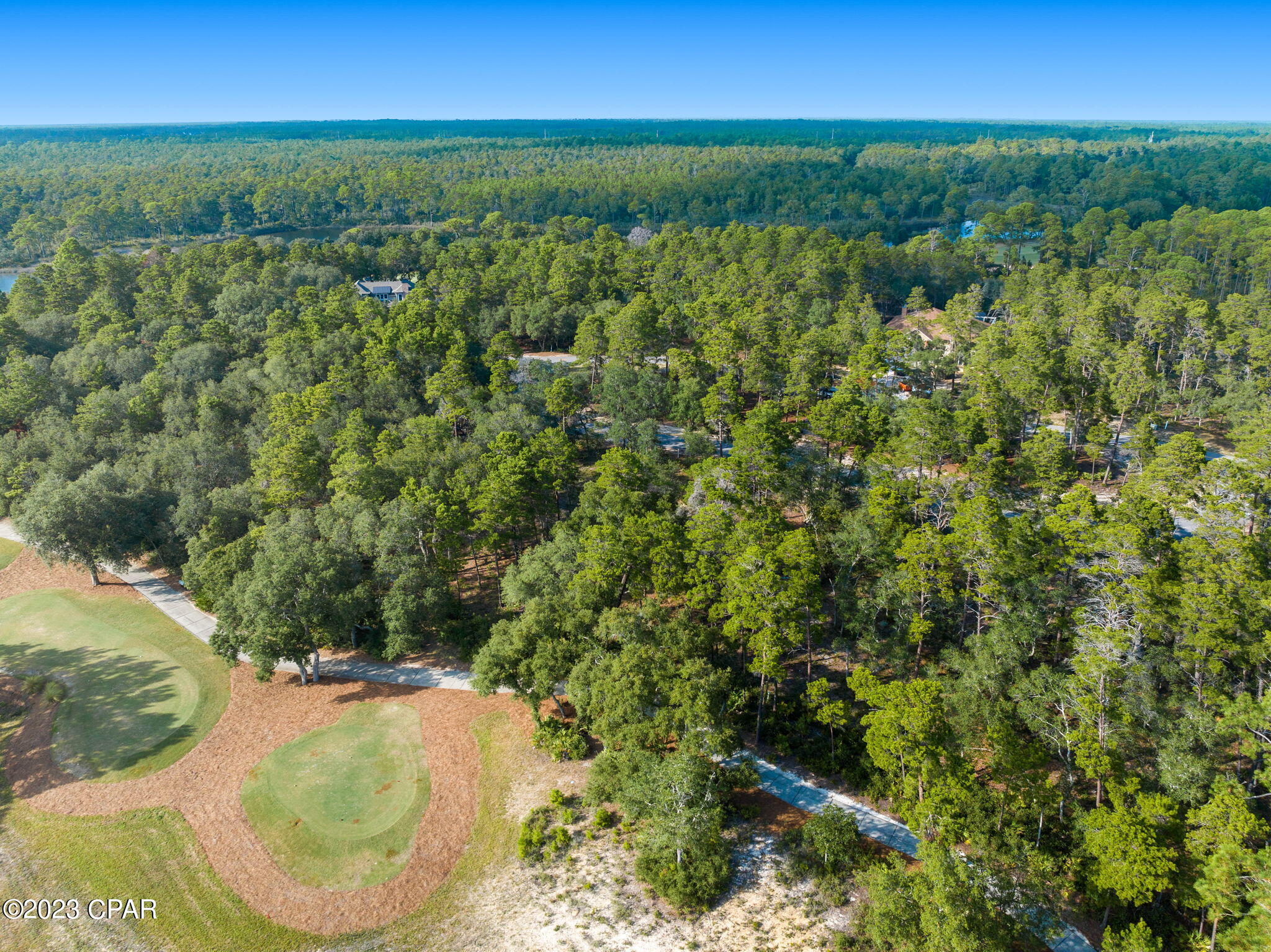 Wild Heron Phase XIII - Land