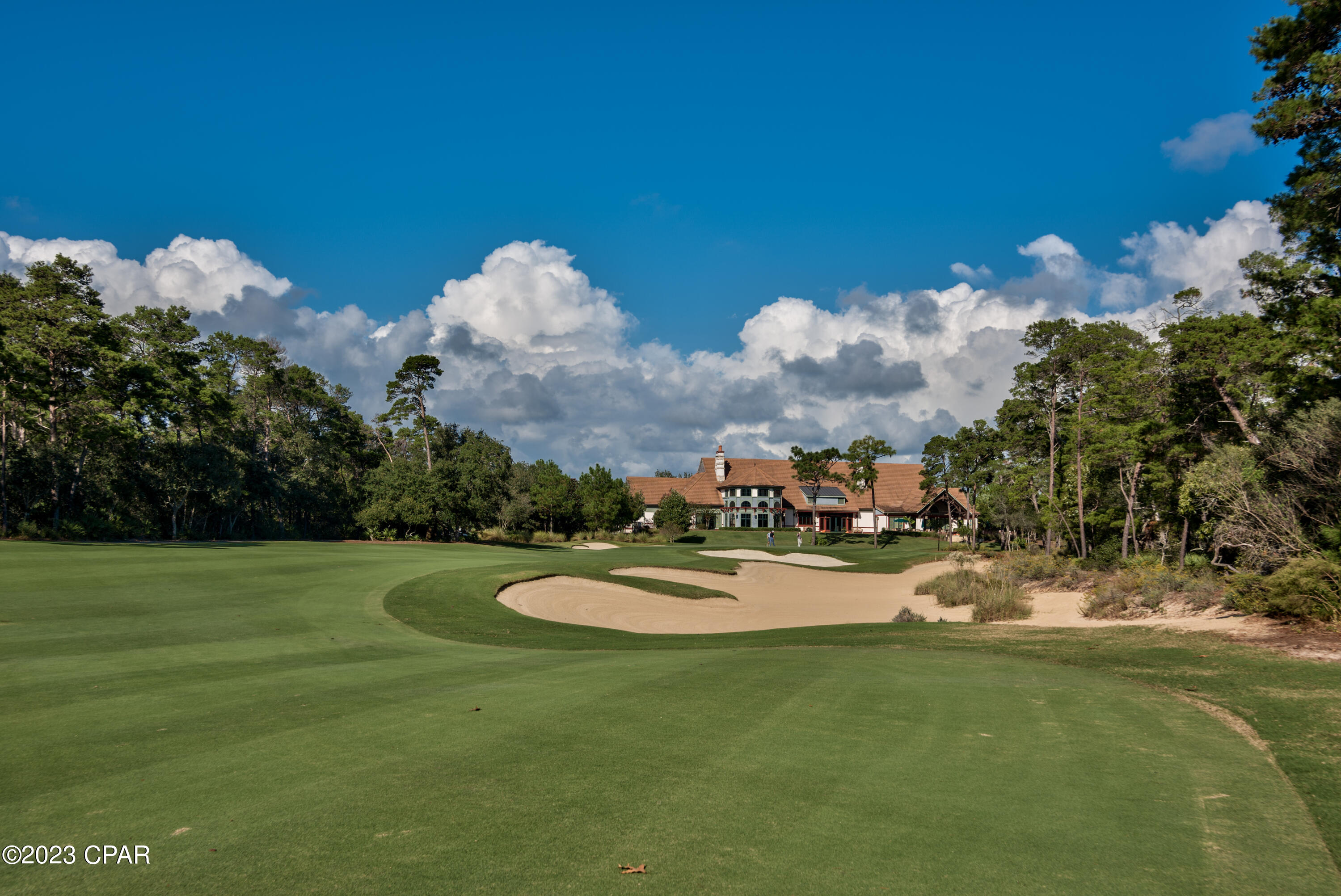 Wild Heron Phase XIII - Land