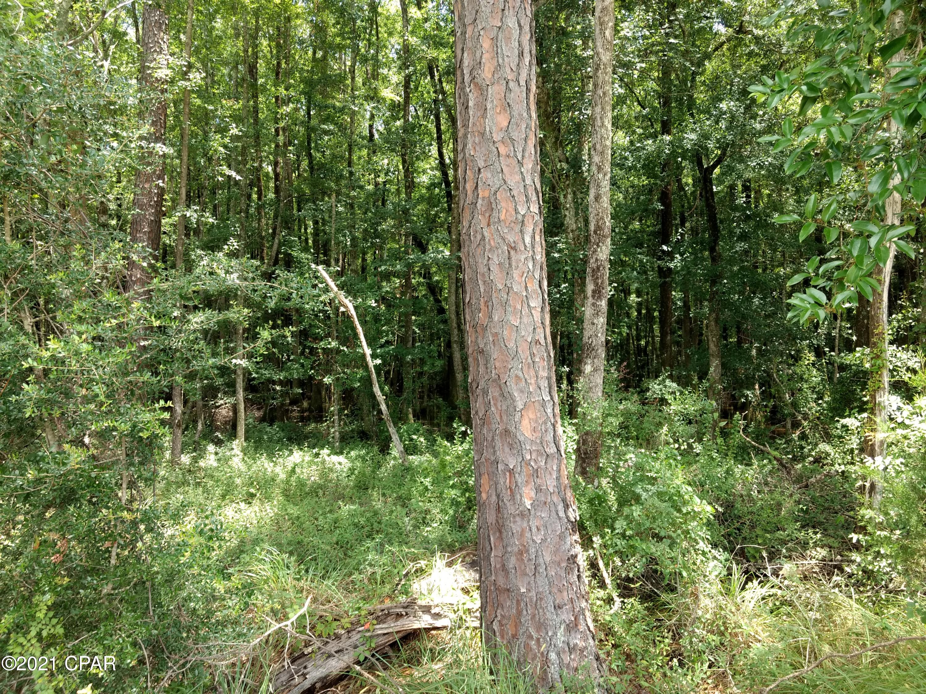 [No Recorded Subdiv] - Land