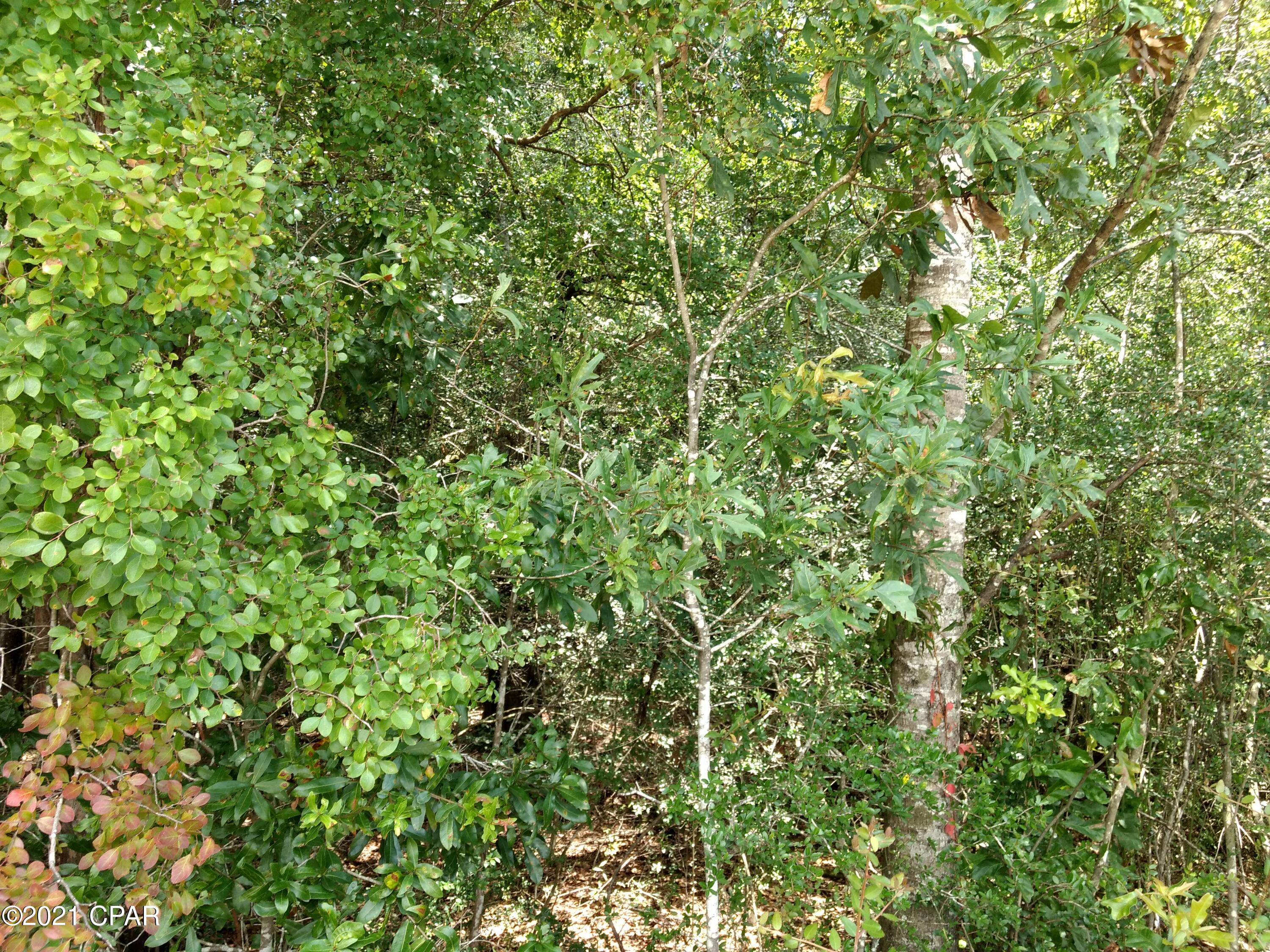 [No Recorded Subdiv] - Land