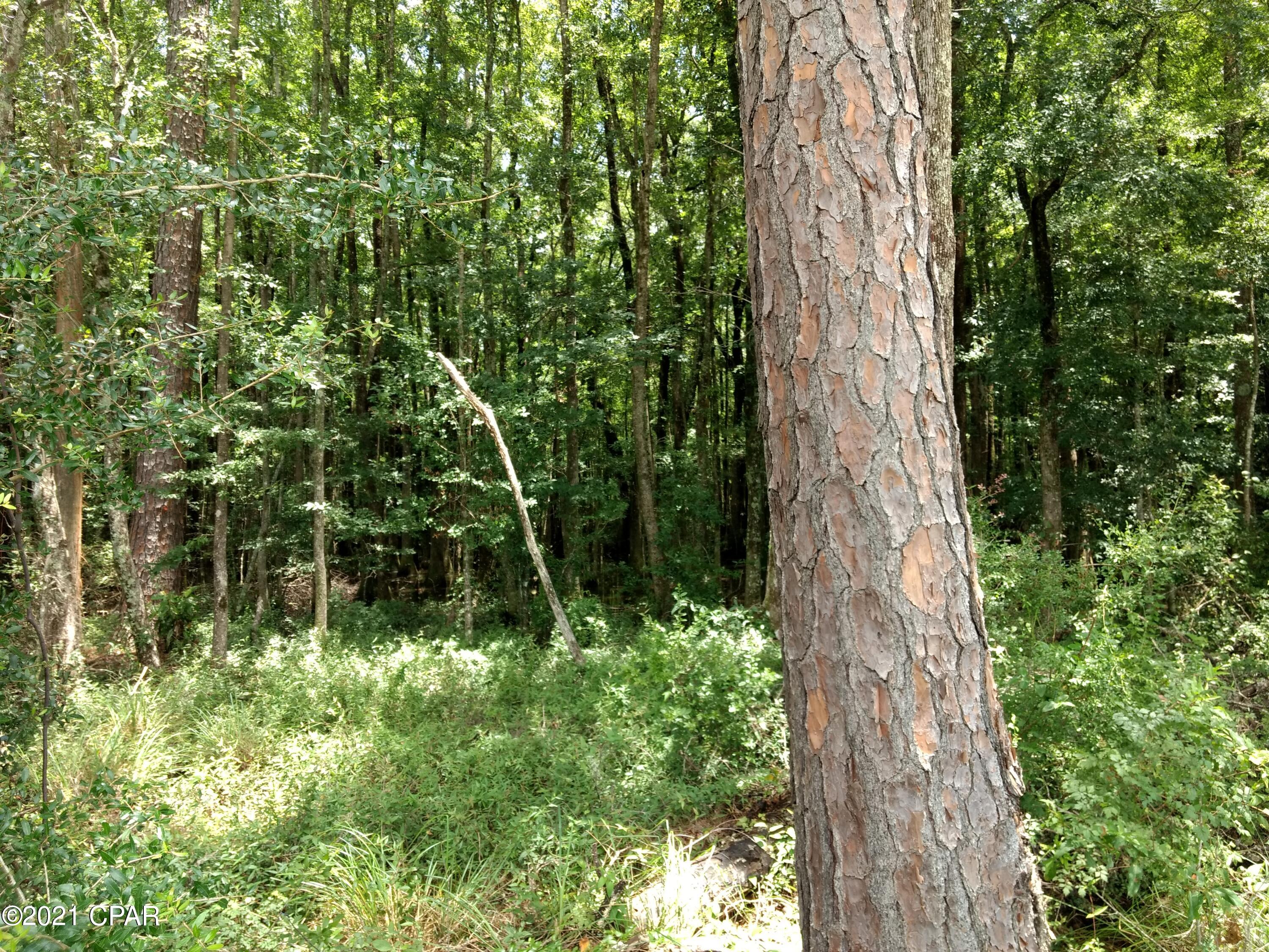 [No Recorded Subdiv] - Land