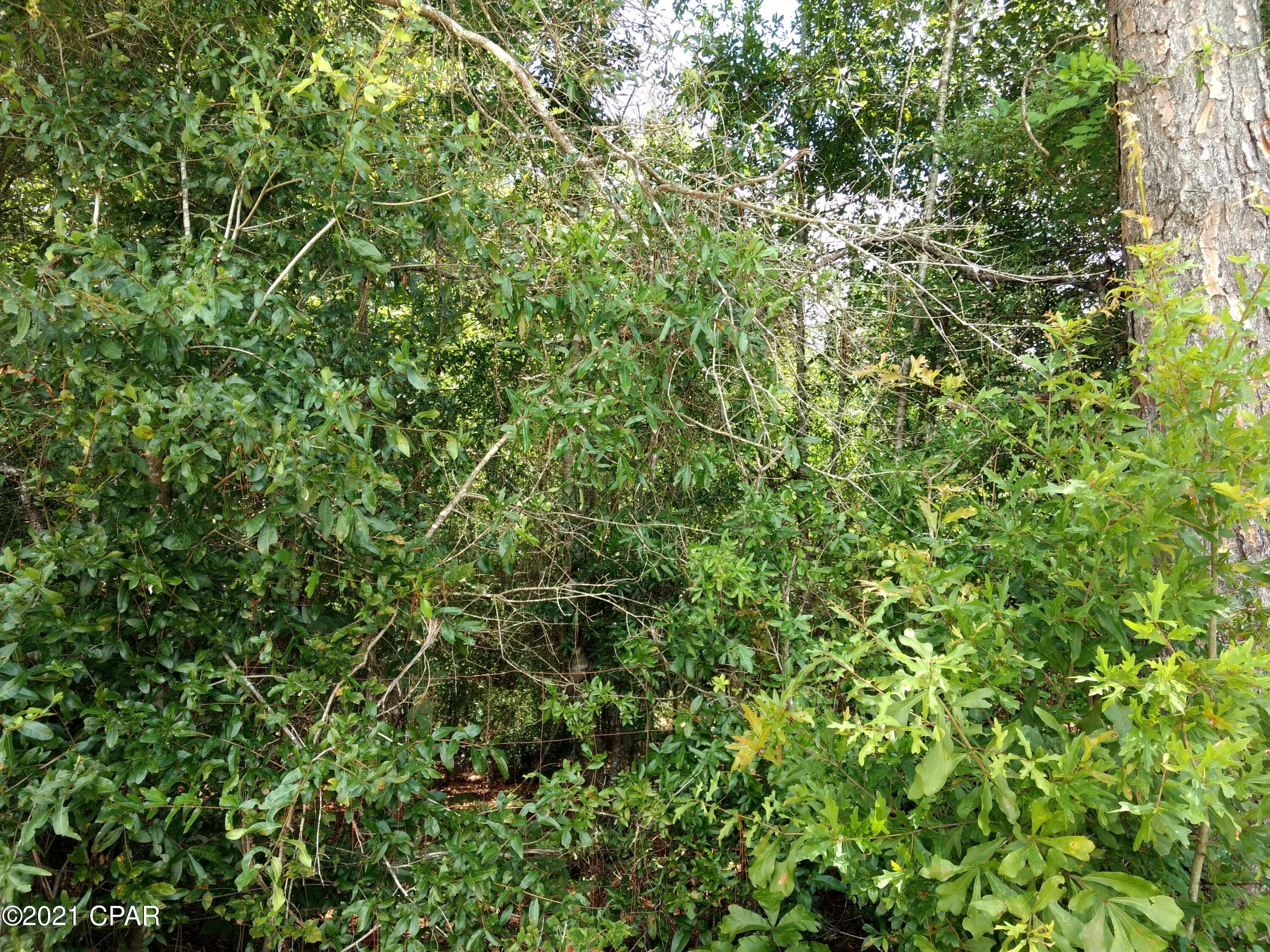 [No Recorded Subdiv] - Land