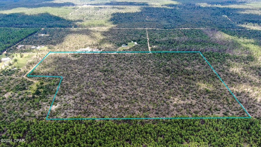 **Looking for that country life, here it is, nature as it's best!!!!  Beautiful property, offering peace and tranquility on 49 acres of natural Florida landscape. Build your dream home or use for hunting purposes.  Property is just minutes from the Worlds Most Beaches and  Northwest Florida Beaches International Airport.  Large parcels don't become available often, take a look at this one TODAY!!!!