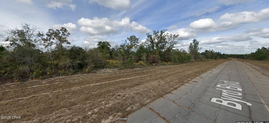 Nice homesite in the deed restricted community of Sunny Hills!! Only a 45 minute drive to the Gulf of America! The subdivision has 26 lakes and ponds, with 5 boat landings and 4 parks within its boundaries!! An don't forget to check out the Sunny Hills Golf and Country Club! What a magnificent course!! HOMES ONLY subdivision, no mobile homes allowed. NO HOA!! Civic Association available, but not a requirement to join!