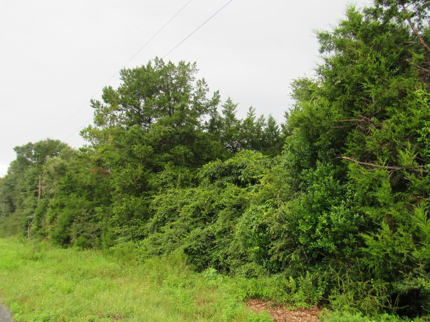 If you are looking for rich, beautiful farm land this is it! Quiet country living just a few minutes past the Bay County line on a paved road! Ten wooded acres! Great place for cows and horses! Take advantage of this opportunity to have your own farm! Please do not enter property without permission. Please verify all information. Measurements and lot sizes were estimated and approximately ten acres more or less, please verify.