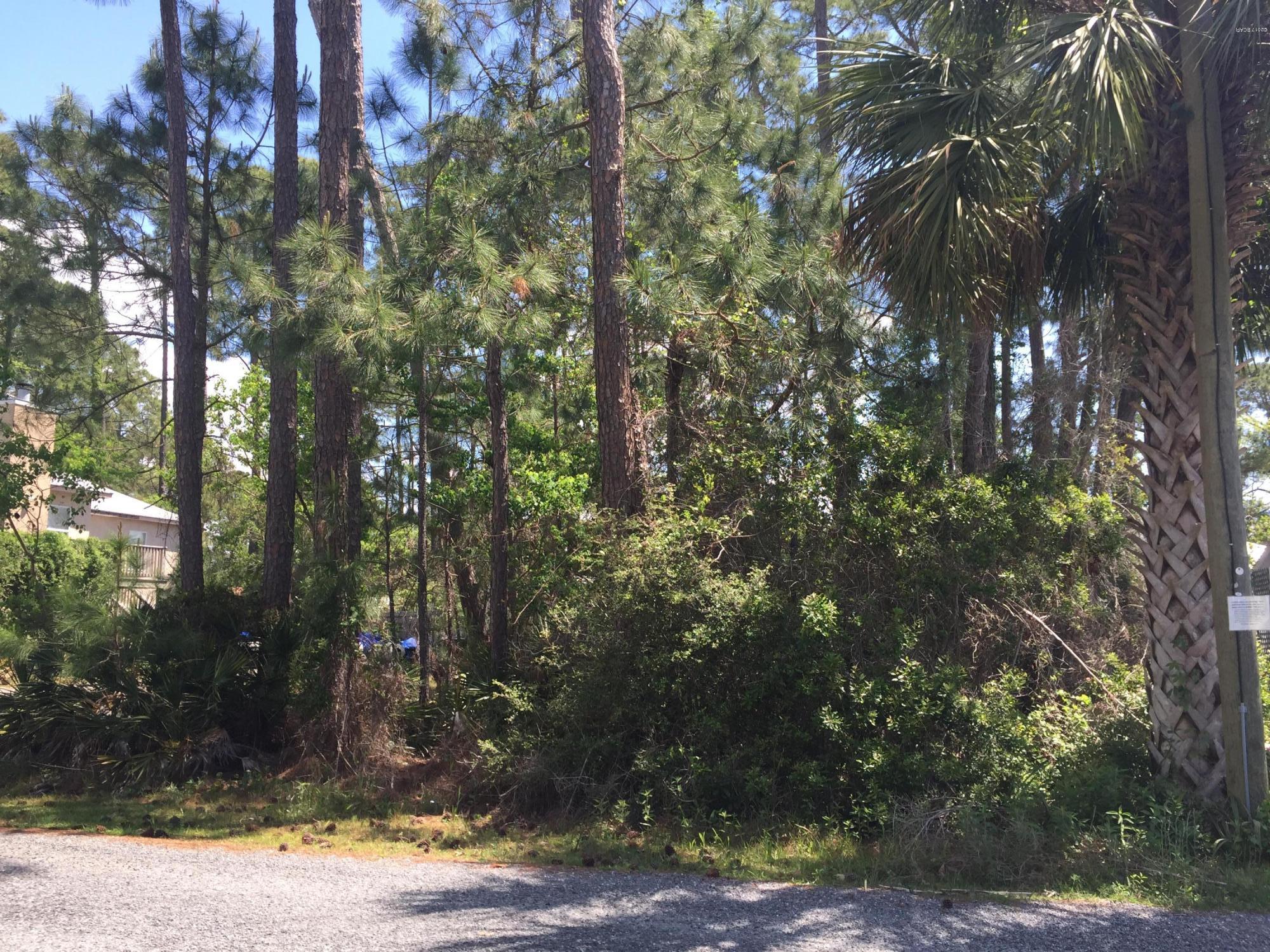 Inlet Beach Heights - Land