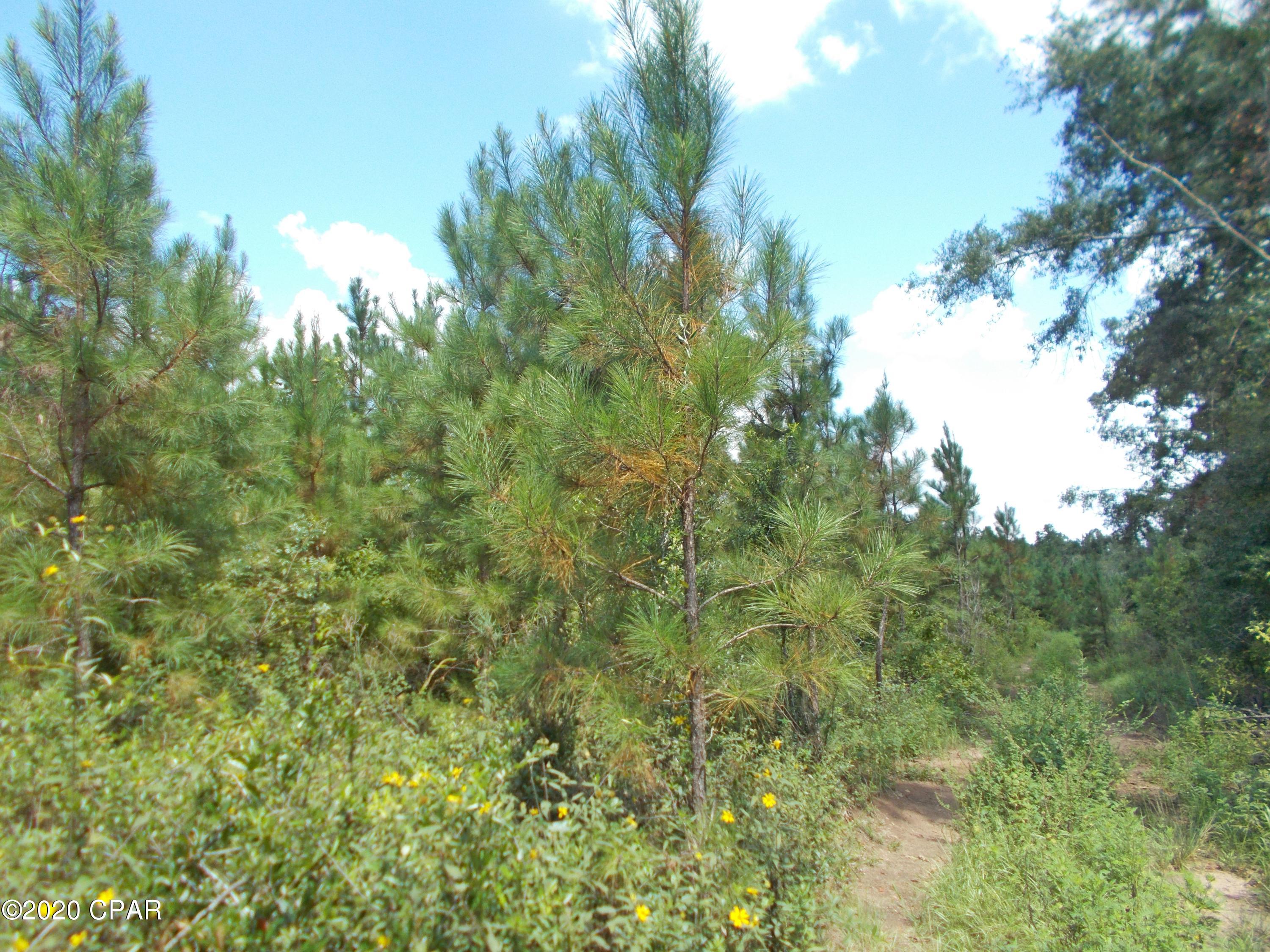 No Named Subdivision - Land