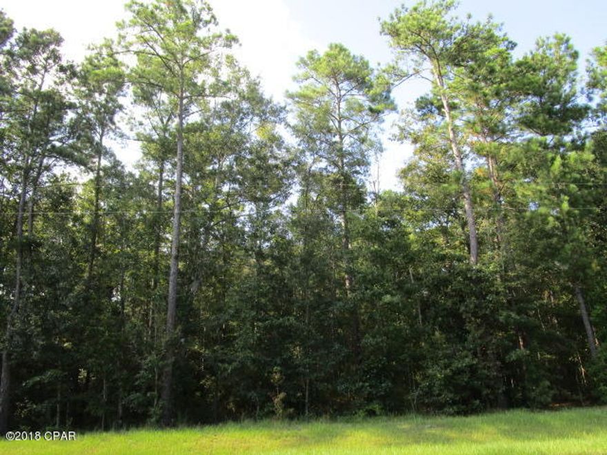 8.05 Acres just South of Bristol near the Apalachicola River. Property has some Timber value. Public boat ramp approximately one mile from property and close proximity to the Apalachicola National Forest. Beautiful timber on property great home site.