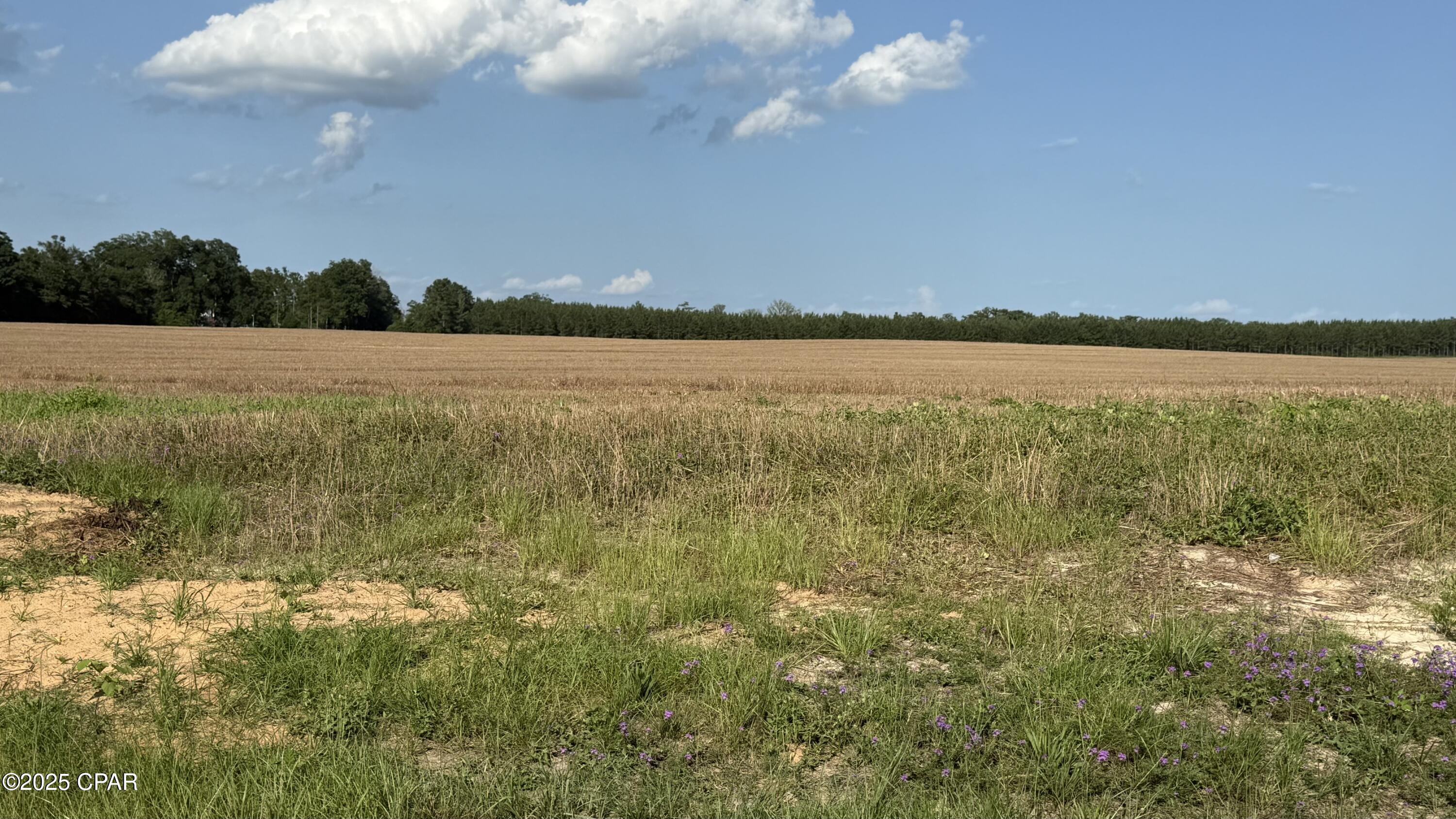 [No Recorded Subdiv] - Land