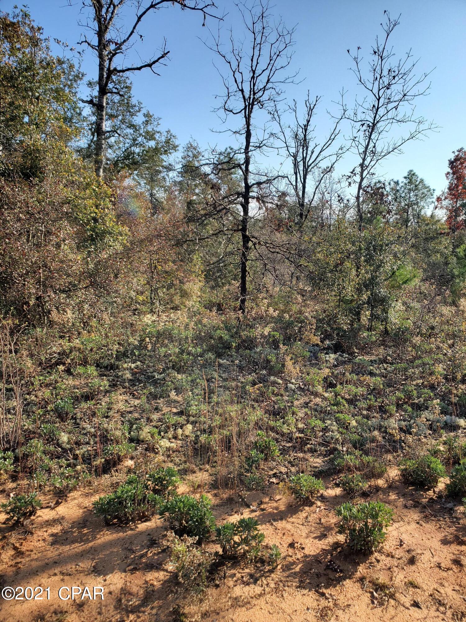 Compass Lake Hills Unit 4 - Land