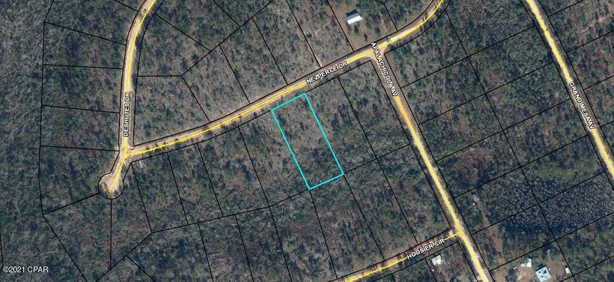 This is a large 1 acre wooded lot on a dirt road in the Compass Lake subdivision. Compass Lake is an all-sports lake, offering water skiing, tubing, jet skiing, pontooning, power boating, sailing, wakeboarding, canoeing, kayaking and swimming. In keeping with its reputation as a boating lake, a restaurant along the shore is accessible by boat. Most of the shoreline provides a natural sand beach. Located about half-way between Panama City, FL and Dothan, AL, Compass Lake is only 10 miles from Marianna and Interstate 10. The area is rich in historical significance, with many restored antebellum plantation homes open for tours or as bed-and-breakfasts. Nearby Alford holds a grocery store and some basic services, while Marianna contains nearly everything a resident would need. About 30 miles south, Panama City Beach offers public Gulf beaches and marinas for 'big water' boating plus big-city amenities and attractions. The entire area around Compass Lake is filled with unique geological treasures, some of which are state parks. Two well-known attractions near Chipley, Falling Waters State Park and Caverns State Park, both display in spectacular fashion the effect of eons of water flowing across the ancient limestone.