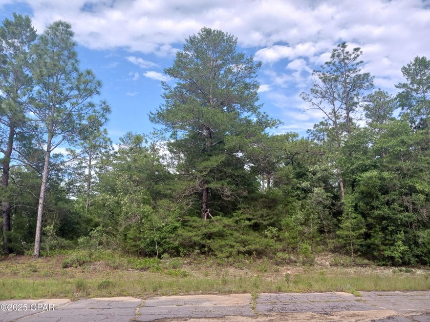 Vacant Lot in Sunny Hills - Build Your Dream Home Today!

Take advantage of this prime opportunity to own a vacant building lot in the beautiful community of Sunny Hills! Located in a peaceful, up-and-coming area between Chipley and Panama City, this lot is ideal for building your forever home or investment property.

Community Features:

Access to multiple lakes, ponds, and nature trails

Sunny Hills Golf Club and Boat Lake Swim Park just minutes away

Paved roads and nearby utilities (verify availability)

No HOA fees (buyer to confirm)

Location Highlights:

Just 30 minutes from Panama City and Chipley

Shopping, restaurants, and healthcare within access via nearby Highway 77

Easy drive to the stunning white-sand beaches of the Gulf Coast

Whether you're ready to build now or looking for a smart investment, this lot is a must-see. Don't miss your chance to be part of this growing Florida community!