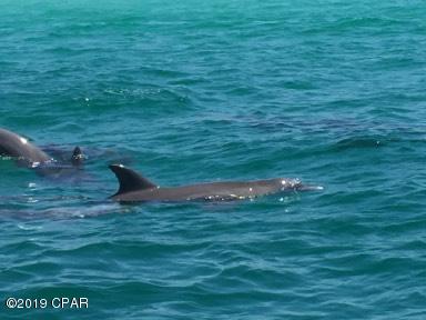 Palm Bay Unit 4 - Residential