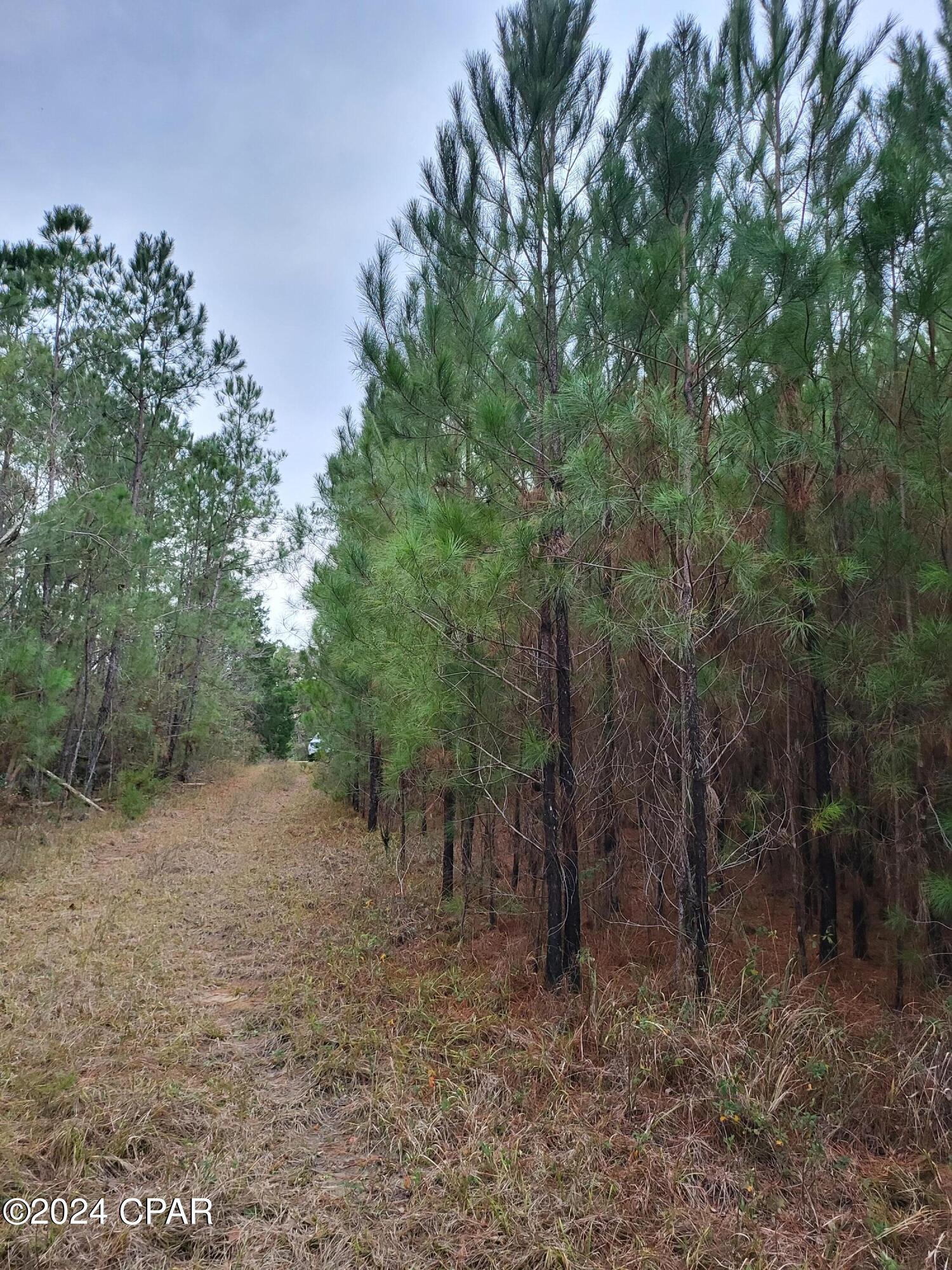 [No Recorded Subdiv] - Land