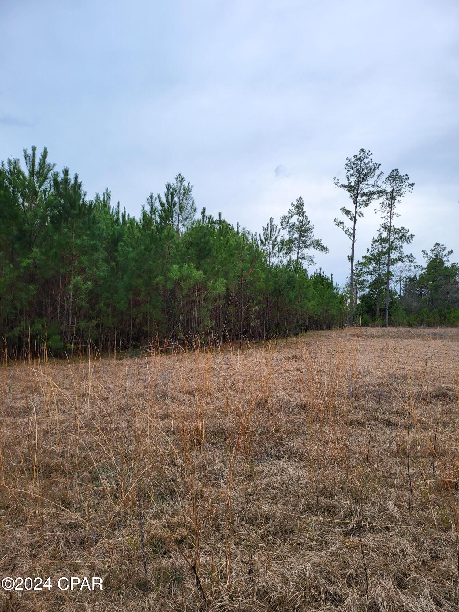 [No Recorded Subdiv] - Land