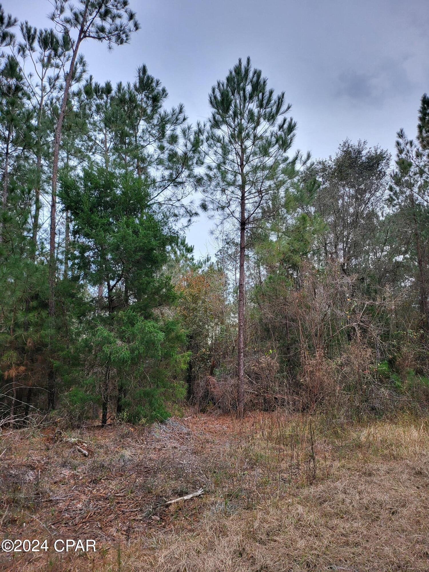 [No Recorded Subdiv] - Land