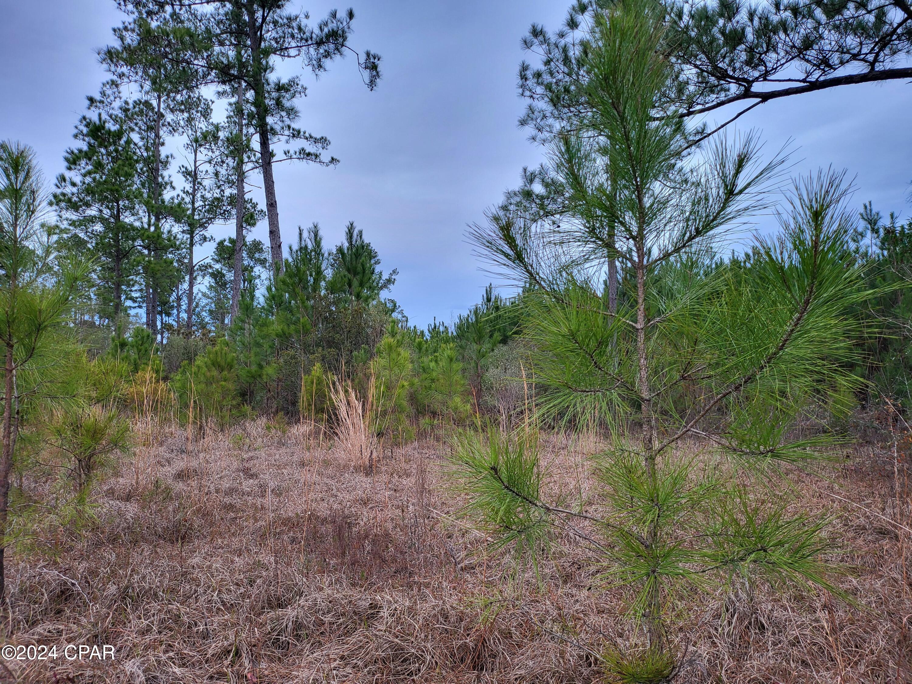 [No Recorded Subdiv] - Land