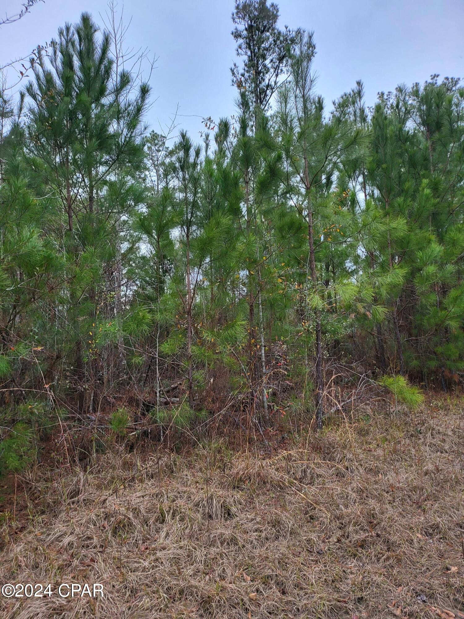 [No Recorded Subdiv] - Land