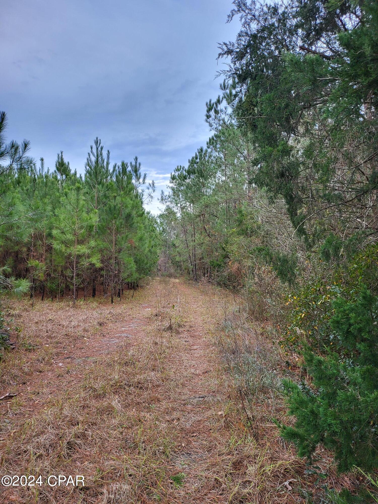 [No Recorded Subdiv] - Land