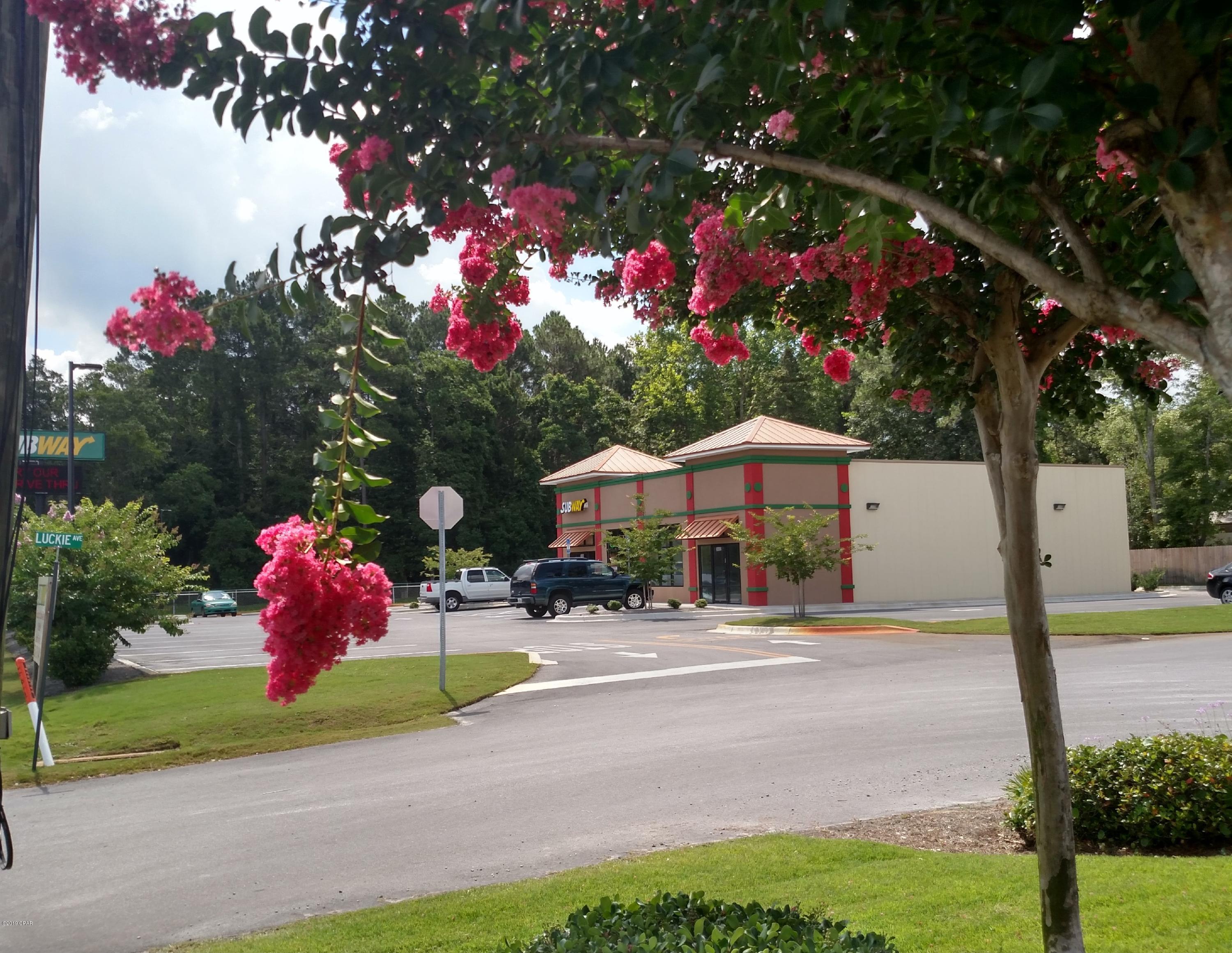 Springfield Farms - Commercial Lease