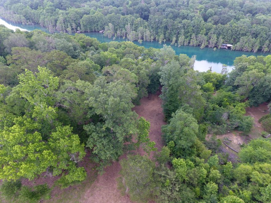 Waterfront Lot on beautiful Merritts Mill Pond located in Spring Chase Subdivision.  Build your dream home with access to the crystal clear spring fed water with plenty of fish and wildlife. Deed restrictions require home to be at least 2,000 sq feet heated/ cooled, set back lines are 40 ft from the road & 10 ft from other lot lines, & no privacy fence can be constructed w/in 50 ft of the water's edge. Full set of restrictions available.