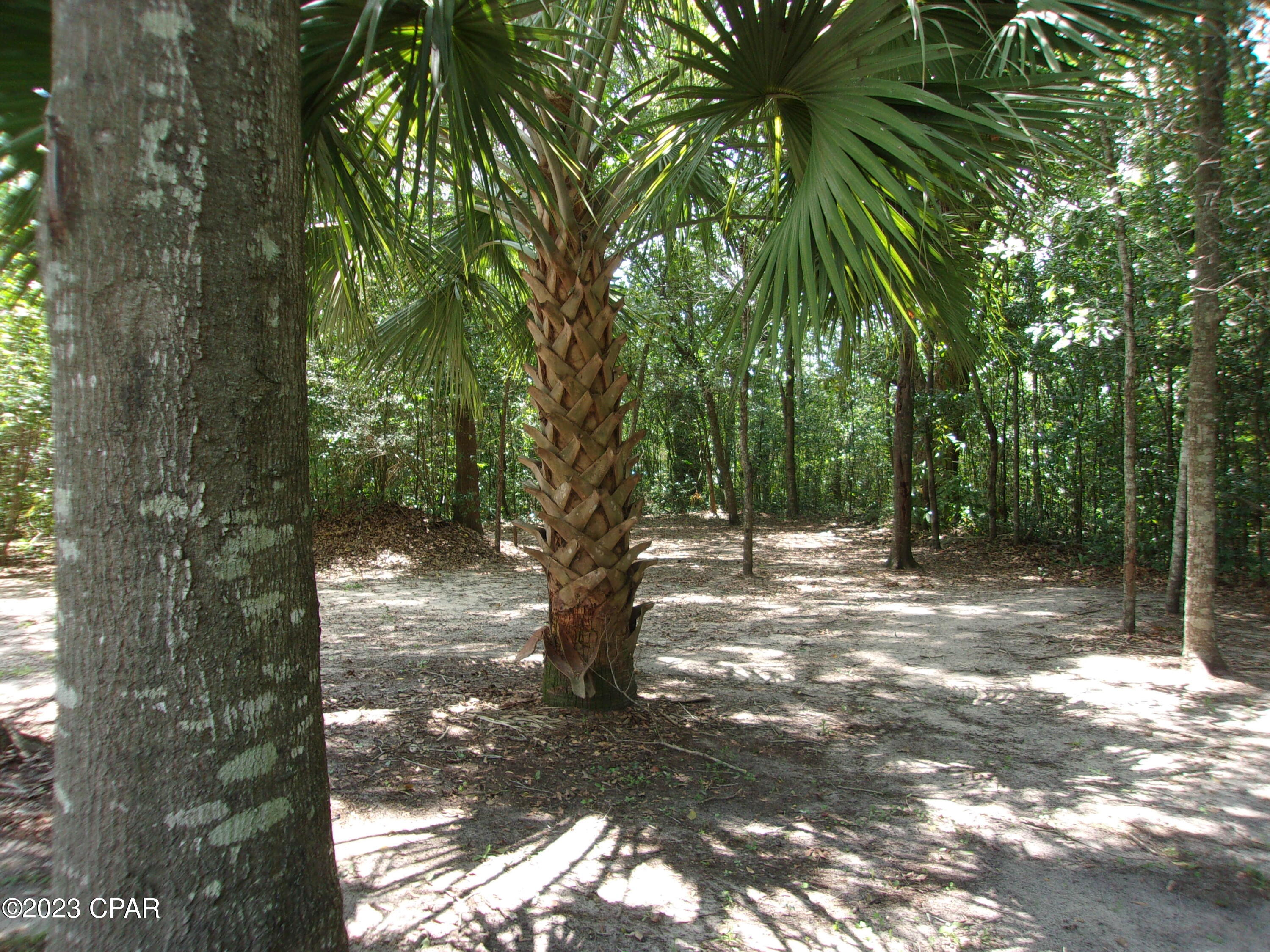 Bonifay - Residential