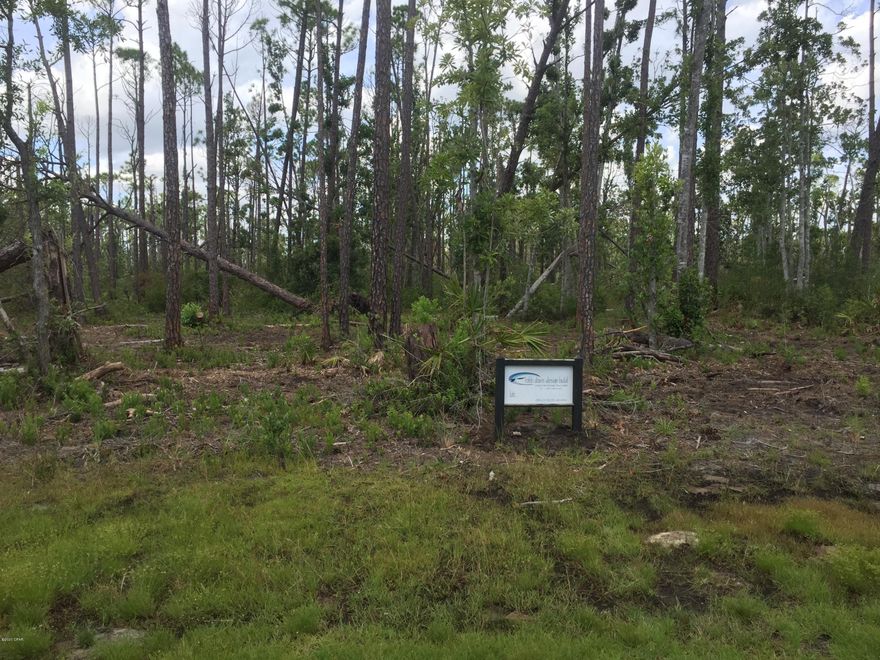Laird Point is a quiet gated coastal community set on a peninsula with breathtaking views of East Bay which leads to the Gulf of Mexico. Lot 100 is a fantastic location for a resident wanting privacy and wooded setting. This quater-acre home site is at the rear of its own cul-de-sac and backs up to a conservation zone, so this lot will remain private. Close to the social attractions of nearby Panama City and Tyndall Air Force Base. New homes are being built in the neighborhood now. This property sustained mature tree loss during Hurricane Michael and is being cleared now.