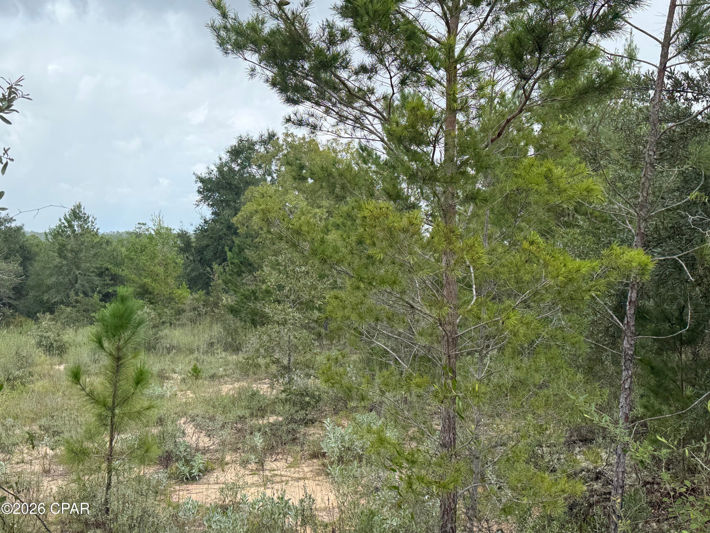 2504 Radcliff Circle