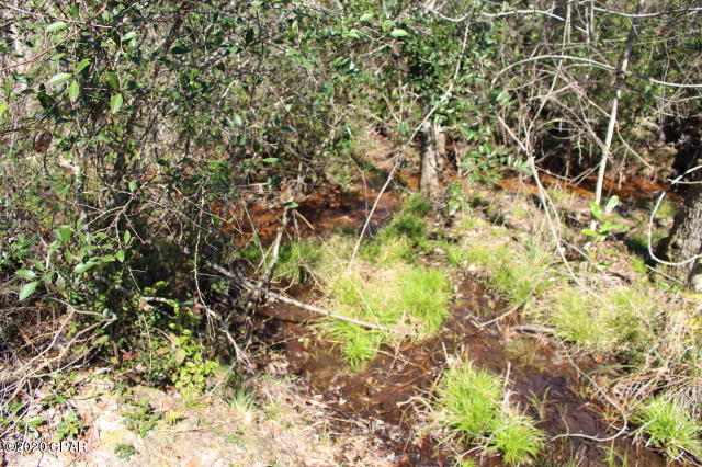 Compass Lake In The Hills - Residential