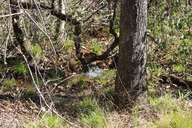 Compass Lake In The Hills - Residential