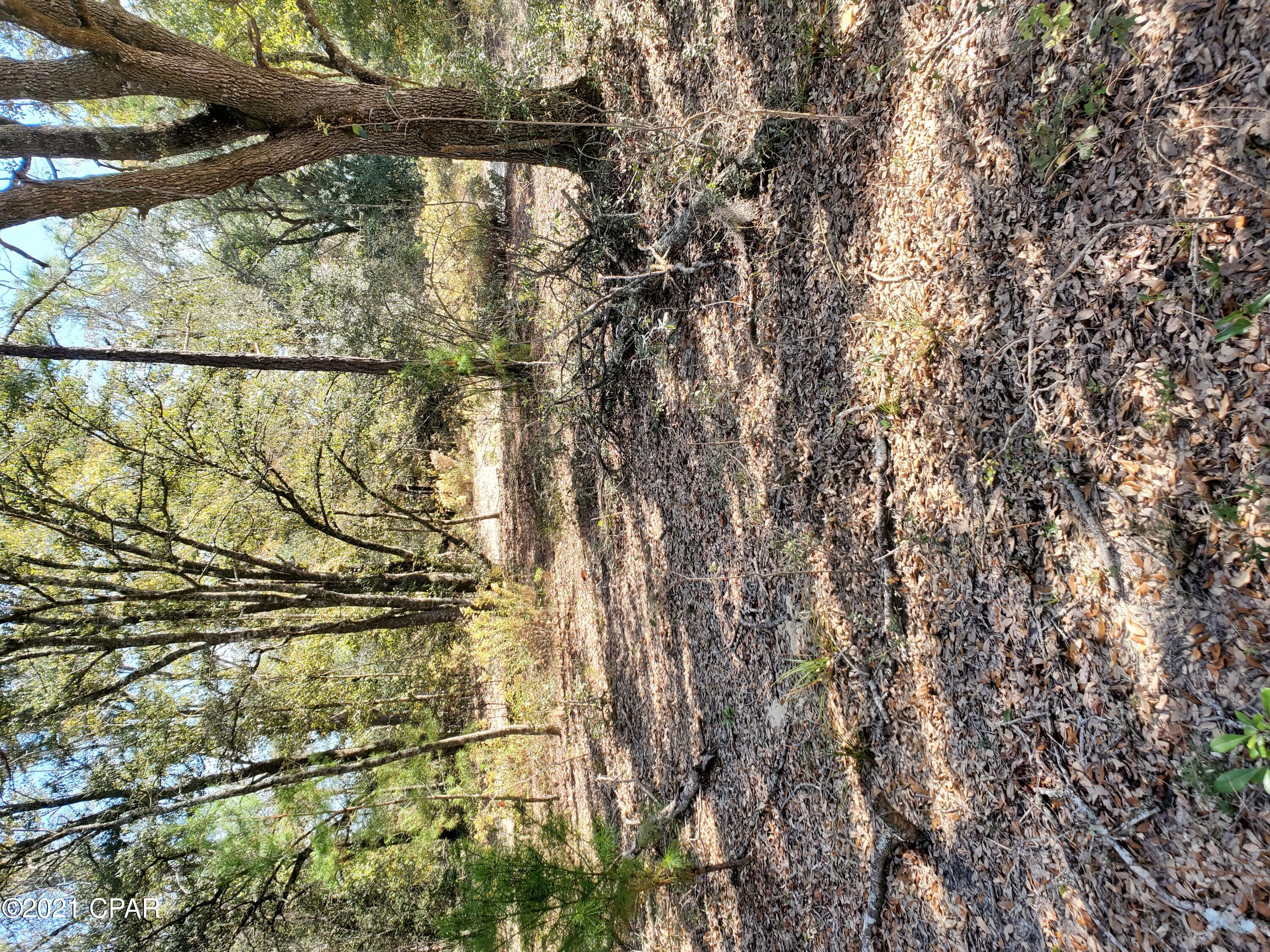 Compass Lake Hills Unit 2 - Land