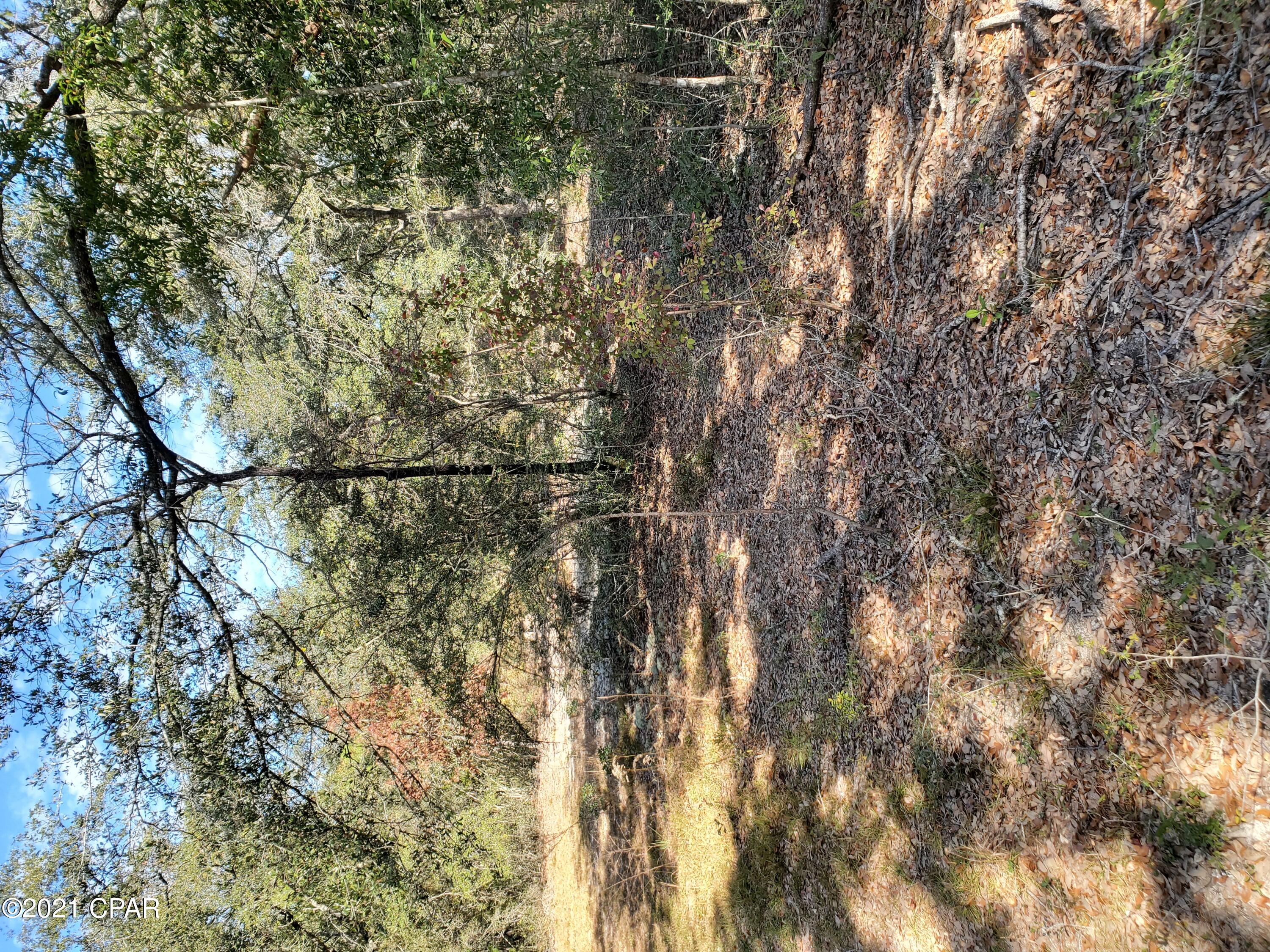 Compass Lake Hills Unit 2 - Land