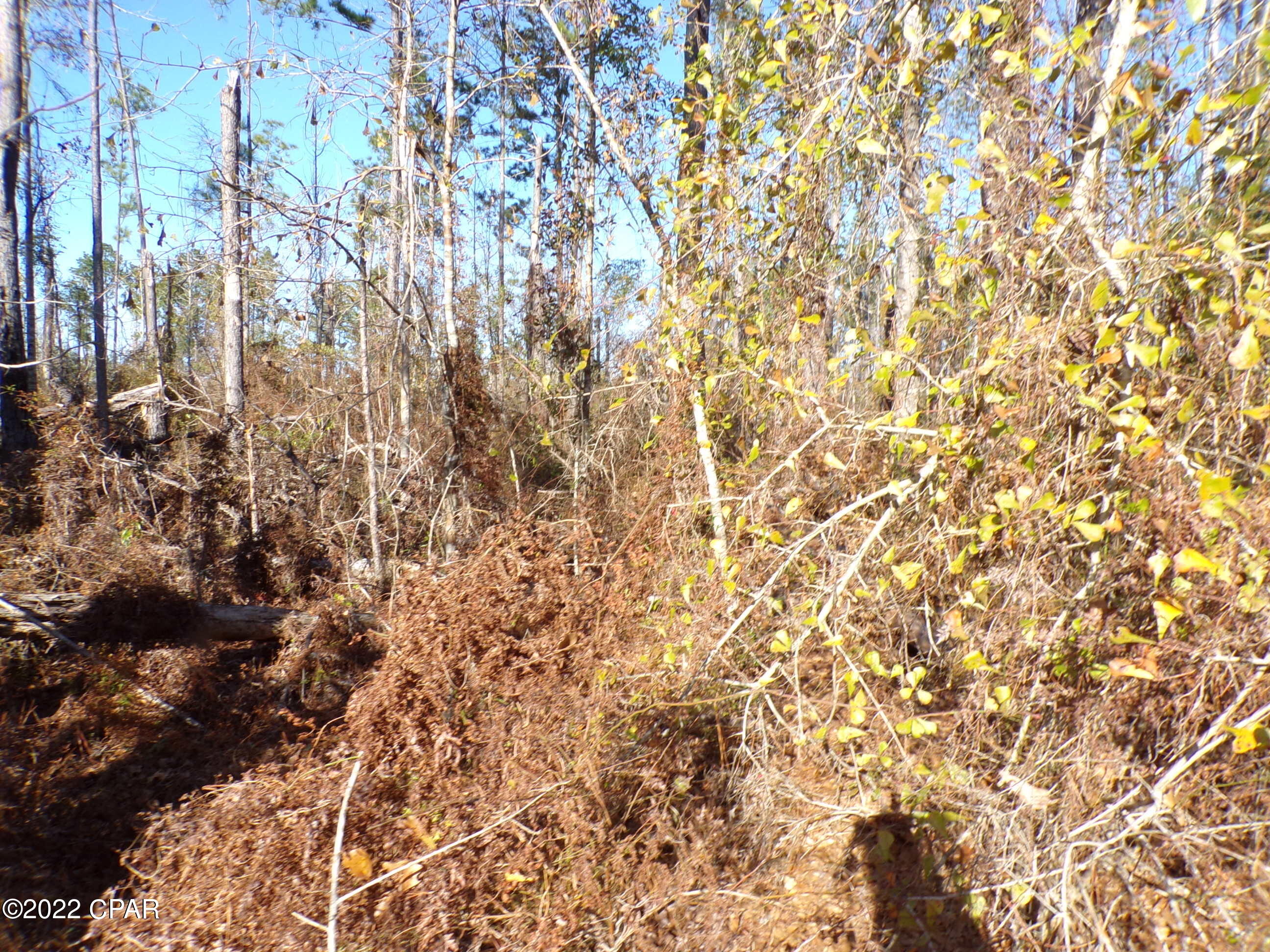 No Named Subdivision - Land