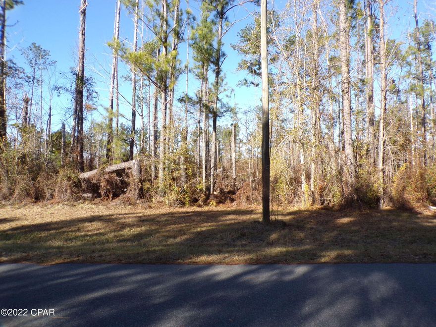 Wooded .37 acre lot in Calhoun County offered as is.