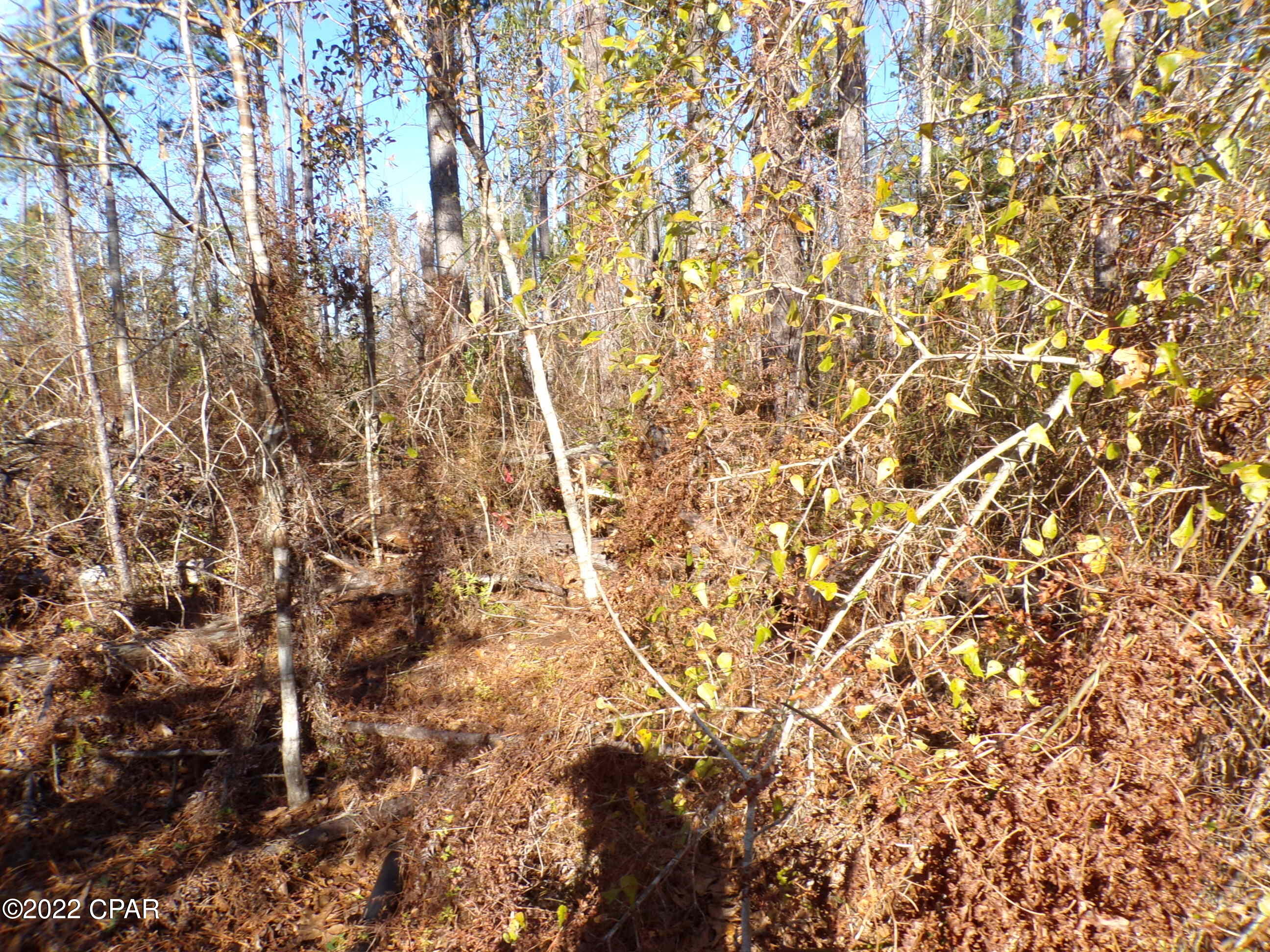 No Named Subdivision - Land