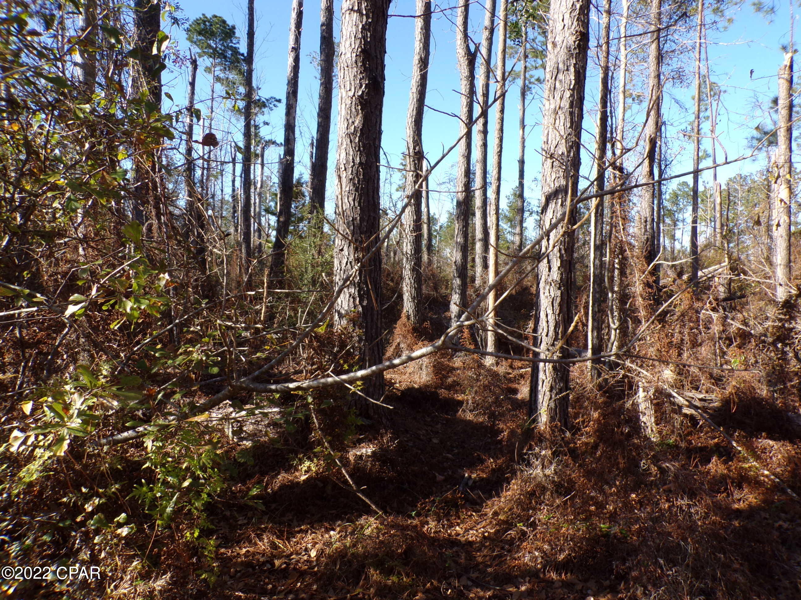 No Named Subdivision - Land