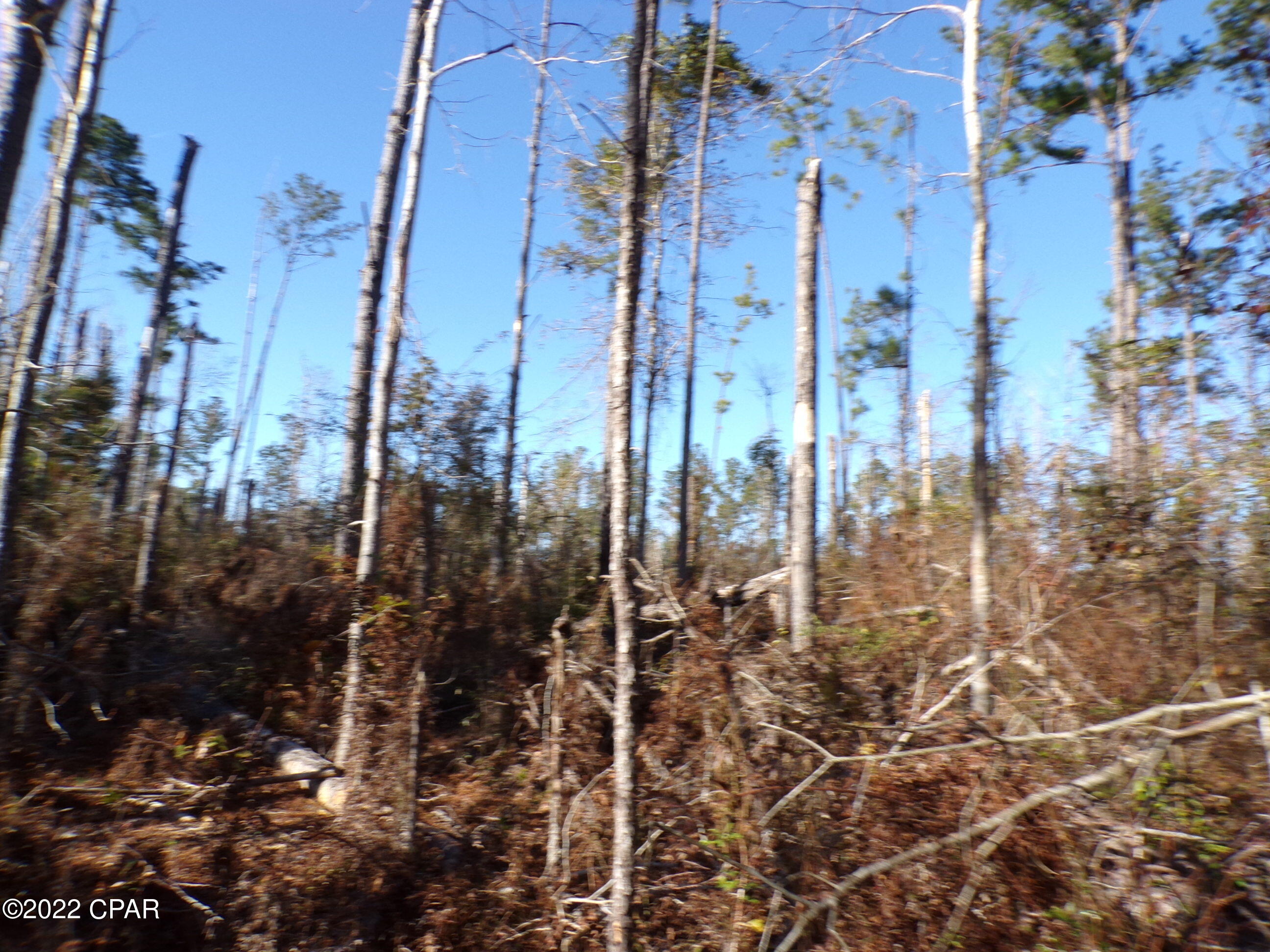 No Named Subdivision - Land